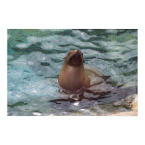 seal posters