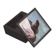 Seal Premium Gift Box
