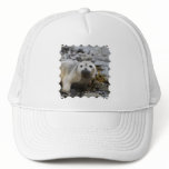 Seal Pup Baseball Hat