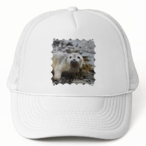 Seal Pup Baseball Hat