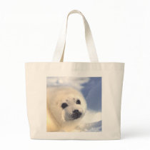 Seal Pup Face Tote Bags