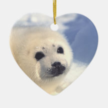 Seal Pup Face Ornament