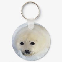 Seal Pup Key Chain keychains by lynnhsmomof2 Seal Pup Key Chain keychains