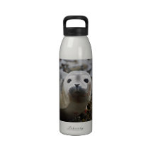 Seal Pup Water Bottle