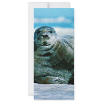 Seal Rack Card Template