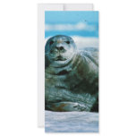 Seal rack cards