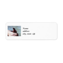 Seal Return Address Labels