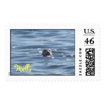 Seal Stamp