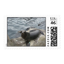 Seal Stamps