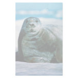 Seal stationery