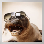 seal style poster