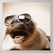 seal style posters
