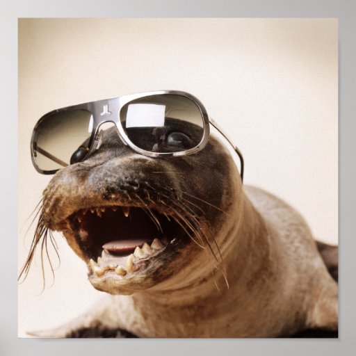 seal style poster