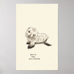 seal trivia poster