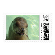 Seal with Fish Postal Stamp