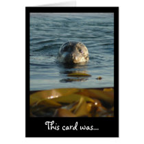 Sealed With a Kiss Card