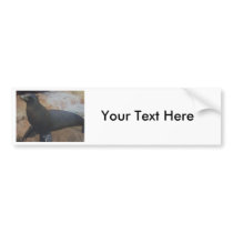seals bumper stickers by pbkooistra seals bumper stickers