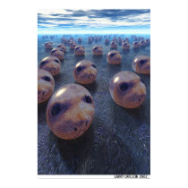 Seals Heal posters