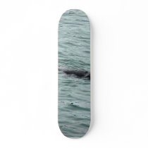 Seals In Monterey Skate Deck