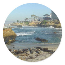 Seals On Sand In La Jolla Cove stickers