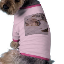 Seals On Sand On Beach pet clothing by lifesphere Seals On Sand On Beach pet clothing