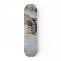 Seals On Sand On Beach skateboards by lifesphere Seals On Sand On Beach skateboards