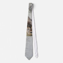 Seals On Sand On Beach ties by lifesphere Seals On Sand On Beach ties