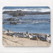 Seals on the beach-CA mousepads