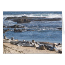 Seals on the Beach cards by ggbythebay Seals on the Beach cards