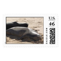 seals postage