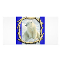 SEALS,SEALS EVERYWHERE PHOTO GREETING CARD