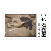 Seals sleeping stamp