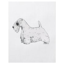 Sealyham Terrier flyers