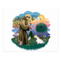 Sealyham Terrier postcards