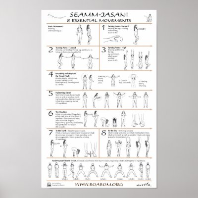 Seamm-Jasani: 8 Essential Movements Posters by AYApublishing