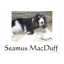 Seamus MacDuff posters