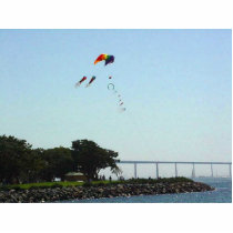 Seaport Village Kite Trees Coranado Bridge Water B photo sculptures by lifesphere Seaport Village Kite Trees Coranado Bridge Water B photo sculptures