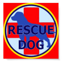 SEARCH AND RECUE DOG SARDA posters by Sofia_Youshi SEARCH AND RECUE DOG SARDA posters