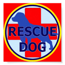 SEARCH AND RECUE DOG SARDA posters