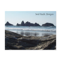 Searching for Seals postcards by mooregrim Searching for Seals postcards