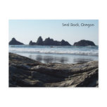 Searching for Seals Post Card