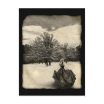 Searching - Postcard