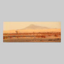 Searing land - Sahara posters
