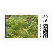 Sears Kay Flowers postage by lunartemptation Sears Kay Flowers postage