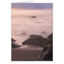 Seascape Cards