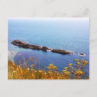 Seascape - Jurassic coast postcard