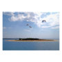 seascape photoenlargement