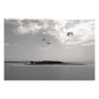 seascape photoenlargement