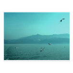 seascape postcard