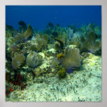 Seascape Poster
